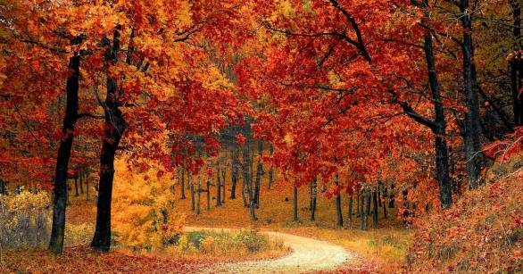 Source: Pexels/Pixabay