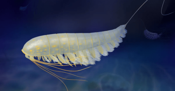 Source: Xiaodong Wang