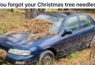 Tenant Kept Having To Deal With His Upstairs Neighbor Throwing Things Off Her Balcony And Onto His, So He Collected Pine Needles From Her Christmas Tree And Returned Them In The Best Way