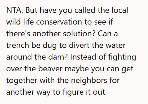 Reddit discussion on​ the‌ beaver dam issue