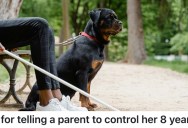 Out Of Control Kid Distracts Service Dog, And When The Owner Gets Injured, The Kid’s Mom Blames Him For What Happened