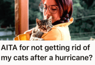 A Selfless Homeowner Took Their Friends In During A Hurricane, But Misplaced Accusations Over Cat Hair And Allergies Sparked A Different Kind Of Storm