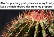 His Neighbor’s Kids Kept Trespassing And Ringing His Doorbell Multiple Times A Day, So He Wants To Plant Prickly Bushes To Keep Them Away