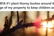 Kids Keep Climbing His Brick Retaining Wall On Their Way Home, So He Is Considering Planting Thorny Bushes To Discourage Them From Climbing It