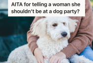 A Woman Sat On A Bench In The Park With Her Dog, But She Got Mad Every Time Anyone Else Came Near