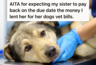 She Borrowed $2500 From Her Brother To Pay A Vet Bill For Her Dog, But The Pup Didn’t Make It. Now Her Brother Is Mad That She Hasn’t Paid Him Back Yet.