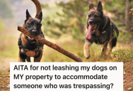 Tourist Asked Him To Put His Dogs On Leashes, But He Refused Because The Tourist Was Trespassing On His Private Property