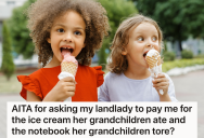 Her Landlady’s Grandchildren Are Visiting And Took Advantage Of A Tenant’s Kindness. Now She Thinks The Landlady Needs To Pay Her Back.