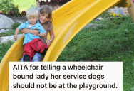 Everything Seemed Normal At The Local Park, But Then A Lady Let Her Service Dogs Go Down The Slide On The Playground