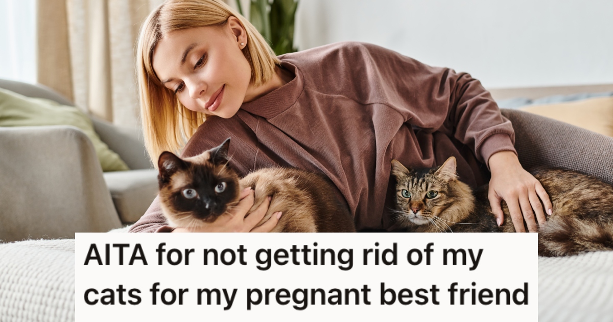 Her Pregnant Friend’s Mom Wants Her To Get Rid of Her Cats, But She Put Her Foot Down And Won’t Do It » TwistedSifter