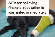 A Family Member Backed Over Their Dog’s Leg, But Then Refused To Own Up To It. Now Family Trust Is Fractured Beyond Repair After Restitution Is Requested..