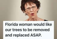 Wacky Hotel Guest Misunderstood How Non-Floridian Seasons Work, So She Demanded The Hotel  Replace The Bare Trees Overnight