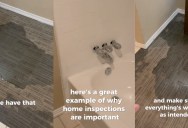 Home Expert Shows Exactly Why Having A Home Inspection Before You Buy A House Is So Important. – ‘I just put about two to three inches of water in this tub.’