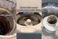 Washing Machine Owner Showed How Dirty Hers Was When She Decided to Clean It