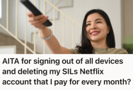 Mooching Sister-In-Law Kept Blocking Her From Watching Netflix, So Woman Logged Her Out And Deleted Her Profile