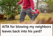 Neighbors Have Giant Maple Trees That Drop Leaves Into A Homeowner’s Yard, So He Started Blowing Them Back Onto Their Properties