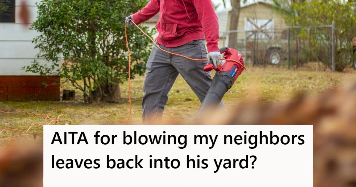 Neighbors Have Giant Maple Trees That Drop Leaves Into A Homeowner’s ...