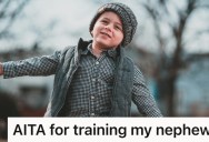 Babysitter Uses Dog Training Techniques On Nephew, But Mom Is Less Than Amused