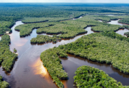 The Amazon Is The Largest River System In The World, But There Are No Bridges That Actually Cross Over It. Here’s Why.