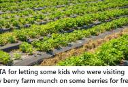 Berry Farm Owner Lets Kids Sample Strawberries For Free, But Then Faces Criticism For Breaking The Rules