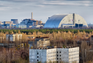 New Study Finds That Eastern Tree Frogs And Other Animals Are Thriving In The Chornobyl Exclusion Zone