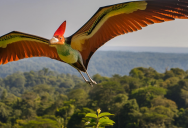 Newly Discovered Fossils Of Nearly Every Bone In The Rare Pterosaurs Family Reveals New Details About These Flying Monsters