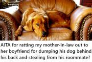 Son-In-Law Tells On Mother-In-Law For Dumping Boyfriend’s Dog And Stealing From His Roommate, But Now That Her Boyfriend Is Kicked Her Out He Wonders If He Did The Right Thing