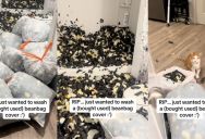 Her Cat Can’t Believe She Had The Audacity To Clean Her Bean Bag Chair, So It Tears It Apart And The Results Are Hilariously Sad