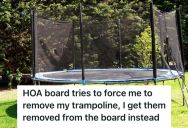 HOA Board Demanded A Neighbor Remove The Trampoline In His Backyard Because It Could Affect Property Prices, So The Neighbor Got Friends To Join Him In Unseating All The Board Members