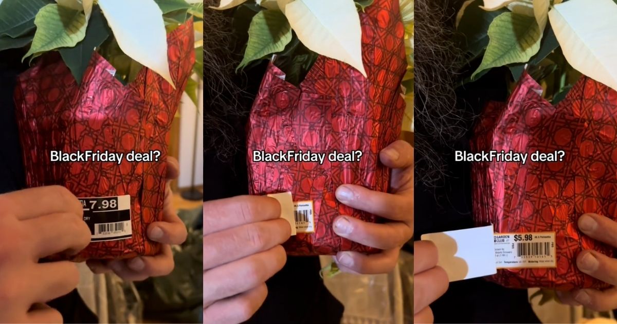 Home Depot Shopper Reveals That Her Poinsettia Was Actually More Expensive On Black Friday