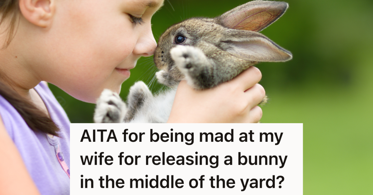 When His Wife Went To Release A Wild Rabbit Outside With The Kids, A Hawk Got It Because She Didn’t Put It Where He Suggested » TwistedSifter