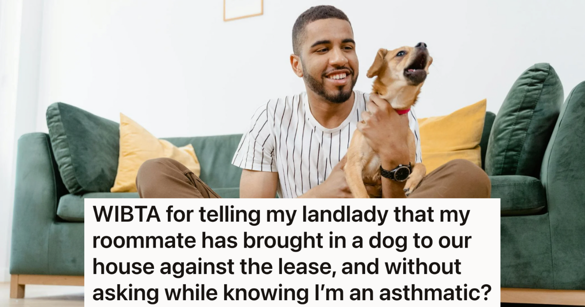 She Made Sure Her Apartment Had A No-Pet Clause Because She Is Allergic To Dogs, But Then One Day Her Roommate Walked In Holding A Puppy » TwistedSifter