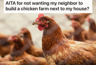 Inconsiderate Neighbor Needs Permission From Other Homeowners To Allow Him To Build A Chicken Farm On His Property, But They Really Don’t Want To Sign The Form