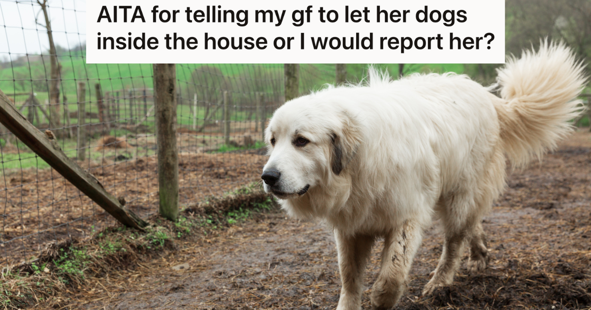 Boyfriend Found Out His Girlfriend’s Dogs Live Outside On Her Farm With The Other Animals, So He Threatened To Call Animal Control If She Didn’t Bring Them Inside » TwistedSifter