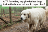 Boyfriend Found Out His Girlfriend’s Dogs Live Outside On Her Farm With The Other Animals, So He Threatened To Call Animal Control If She Didn’t Bring Them Inside