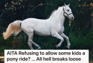 Mom Keeps Telling All The Kids They Can Go On Pony Rides On Her Daughter’s Horse, But Her Daughter Doesn’t Want To Keep Sharing