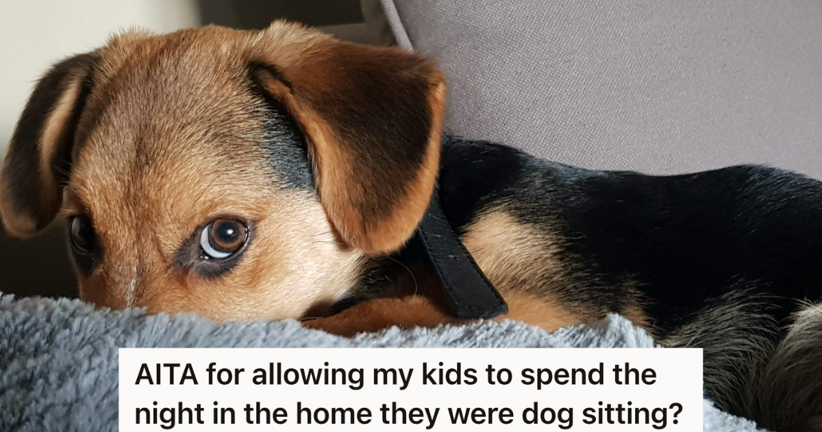 Kids Wanted To Have A Sleepover At The Neighbor’s House While They Were Dog Sitting, But The Neighbor Was Upset And Clarified That They Weren’t House Sitting » TwistedSifter