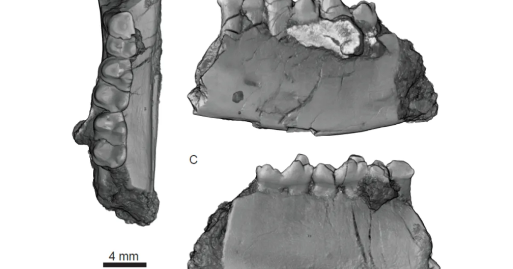 Source: J Eberle et al 2024, PLoS ONE CC By 4.0