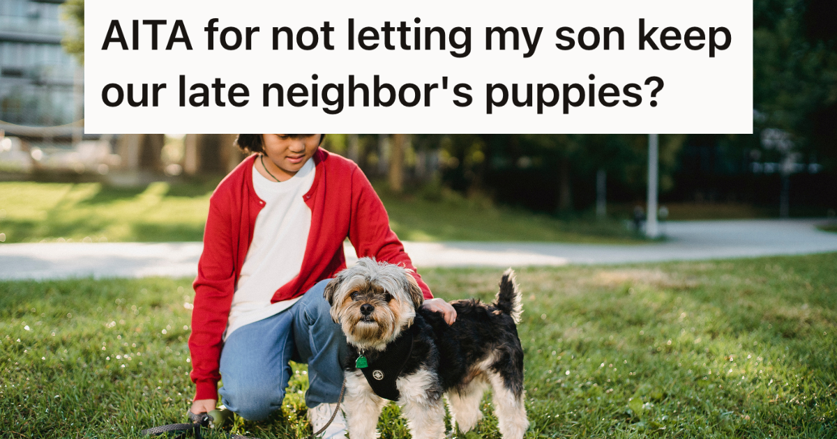 A Late Neighbor’s Final Wish Left A Family With Puppies, So After Their Kid Got Attached The Parent Had A Difficult Choice To Make » TwistedSifter