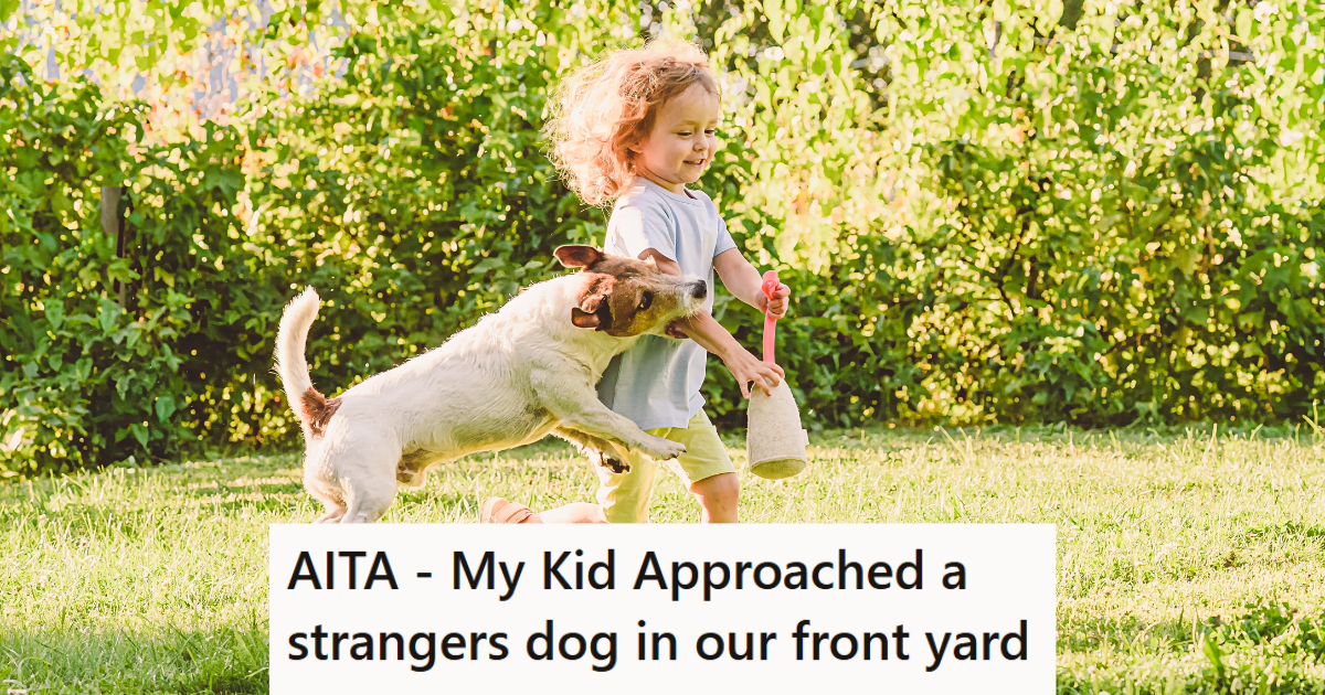 When His Young Son Was Playing In The Yard, Someone Walking Their Dog Let It Onto The Grass. So When The Child Started Walking Up To It, The Owner Got Angry And Yelled At The Dad. » TwistedSifter