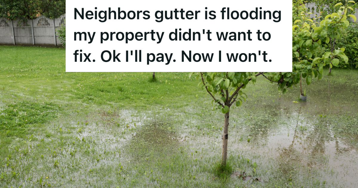 His Neighbor’s Gutter Kept Flooding His Backyard, But They Were Unwilling To Fix The Problem. So He Complained To The HOA And Cost Him ,500. » TwistedSifter