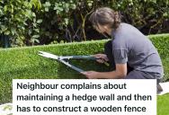 Woman Asked The Next Door Neighbors To Trim Both Sides Of The Hedge That Separated Their Properties, So The Neighbors Cut Down The Entire Hedge