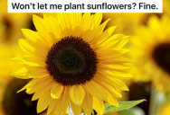 HOA Tells Homeowner He Can’t Plant Sunflowers, So They Hire A Lawyer And Find Something That’s Much More Annoying To Plant Instead