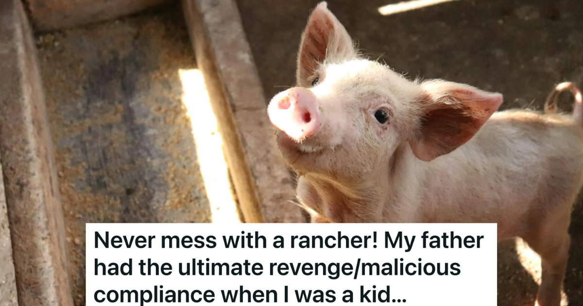 New Neighbors Insist A Rancher Relocates His Fence, So He Decides To Build A Pig Pen As Close To Their House As Legally Possible » TwistedSifter