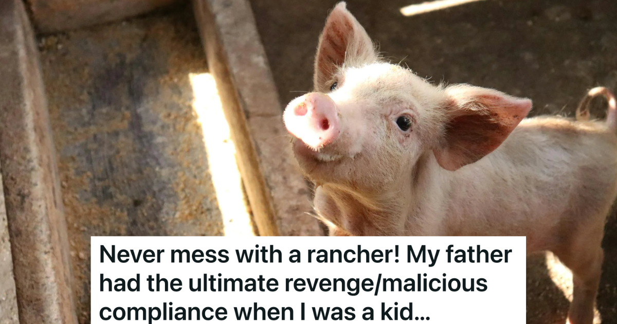 New Neighbors Insist A Rancher Relocates His Fence, So He Decides To ...