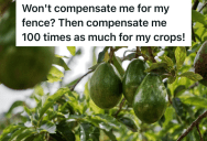 Avocado Ranch In California Caught Fire Due To A Downed Power Line, But Instead Of Paying To Replace The Fence On The Ranch, The Electric Company Dared The Ranch Owner To Sue Them