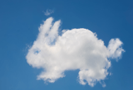 Looking For An Unusual Pet That Is Easy To Care For? Why Not Follow New Zealand’s Example And Adopt A Pet Cloud?