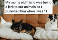 She Let Her Friend Stay With Her While He Was In Town For A Job Interview, But Her 11-Year-Old Kid Didn’t Like The Way The Friend Treated Their Dogs