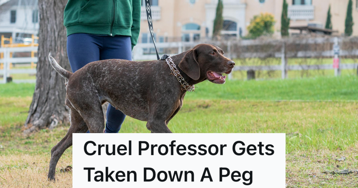 A Mean Professor Falsely Accuses A Student Of Something Unseemly, So The Student’s Dog Gets Petty Revenge On Her Behalf » TwistedSifter