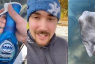 A TikTokker Shared An Easy Hack For Keeping Car Windshields Free Of Ice And Fog